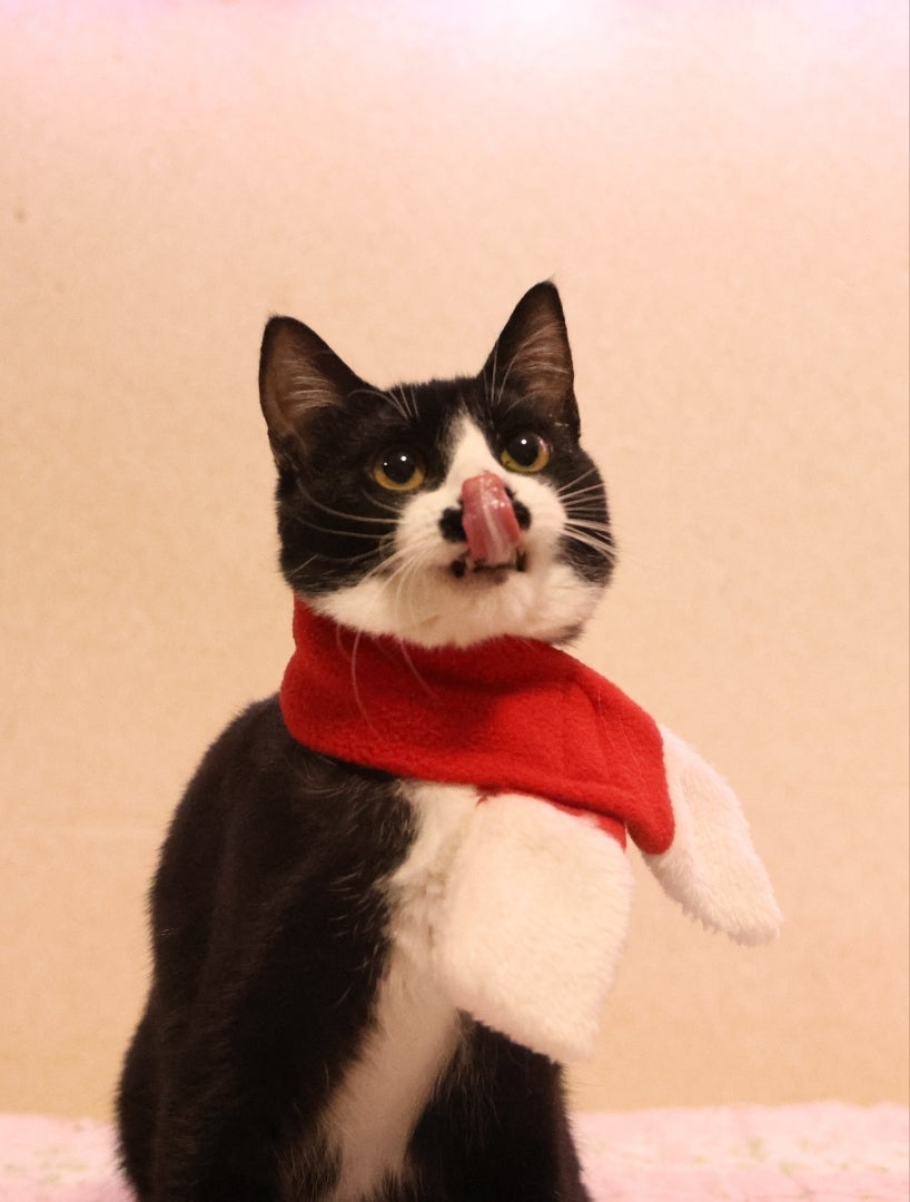 みかん